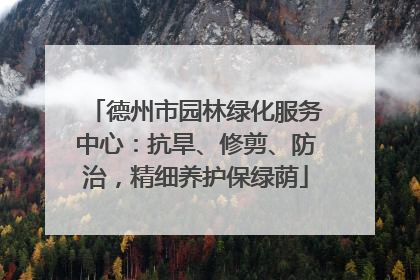 德州市园林绿化服务中心：抗旱、修剪、防治，精细养护保绿荫