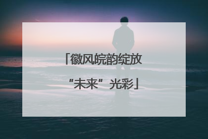徽风皖韵绽放“未来”光彩