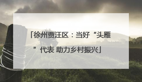 徐州贾汪区：当好“头雁”代表 助力乡村振兴
