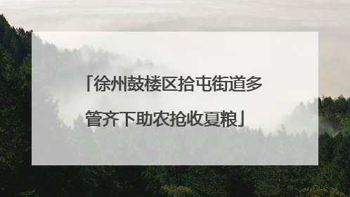 徐州鼓楼区拾屯街道多管齐下助农抢收夏粮