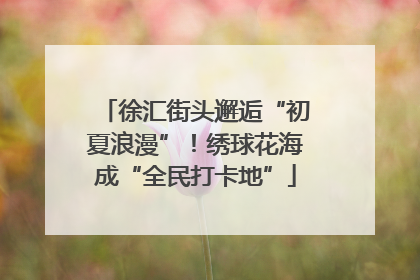 徐汇街头邂逅“初夏浪漫”！绣球花海成“全民打卡地”