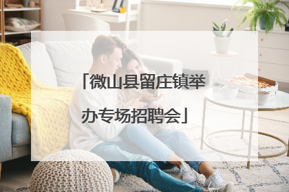 微山县留庄镇举办专场招聘会