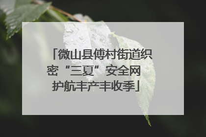 微山县傅村街道织密“三夏”安全网 护航丰产丰收季