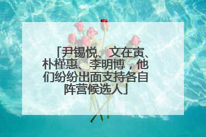 尹锡悦、文在寅、朴槿惠、李明博，他们纷纷出面支持各自阵营候选人