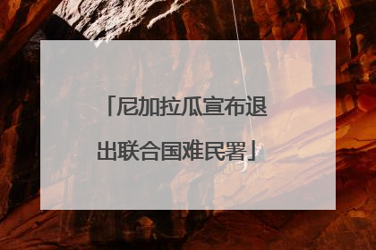 尼加拉瓜宣布退出联合国难民署