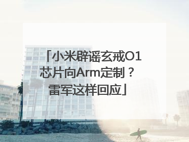 小米辟谣玄戒O1芯片向Arm定制？雷军这样回应