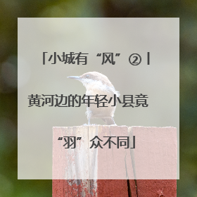 小城有“风”②丨黄河边的年轻小县竟“羽”众不同