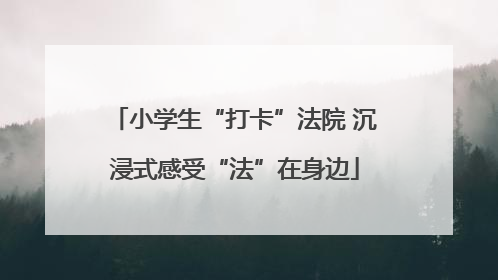 小学生“打卡”法院 沉浸式感受“法”在身边