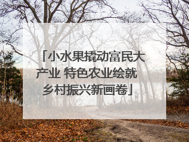 小水果撬动富民大产业 特色农业绘就乡村振兴新画卷