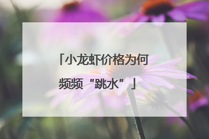 小龙虾价格为何频频“跳水”