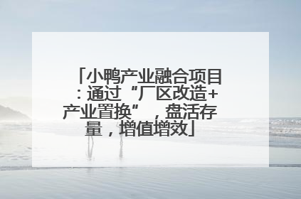 小鸭产业融合项目：通过“厂区改造+产业置换”，盘活存量，增值增效