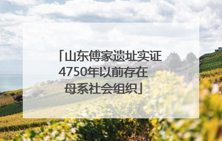 山东傅家遗址实证4750年以前存在母系社会组织