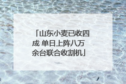 山东小麦已收四成 单日上阵八万余台联合收割机