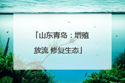 山东青岛：增殖放流 修复生态