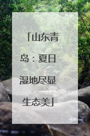 山东青岛：夏日湿地尽显生态美