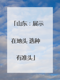 山东：展示在地头 选种有准头