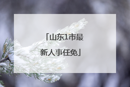 山东1市最新人事任免