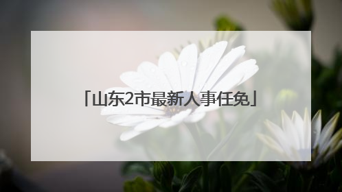 山东2市最新人事任免