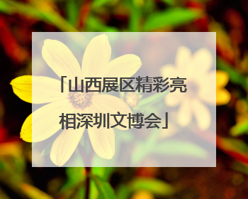 山西展区精彩亮相深圳文博会