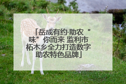 岳成有约·助农“味”你而来 监利市柘木乡全力打造数字助农特色品牌