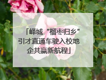 峄城“榴枣归乡”引才直通车驶入校地企共赢新航程
