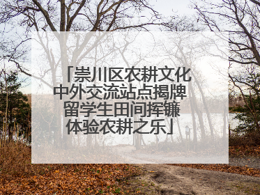 崇川区农耕文化中外交流站点揭牌 留学生田间挥镰体验农耕之乐