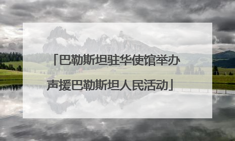巴勒斯坦驻华使馆举办声援巴勒斯坦人民活动