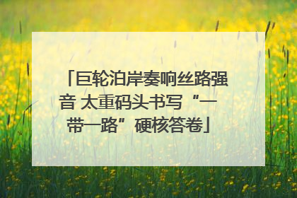 巨轮泊岸奏响丝路强音 太重码头书写“一带一路”硬核答卷