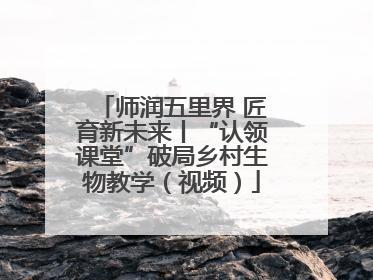 师润五里界 匠育新未来丨“认领课堂”破局乡村生物教学（视频）