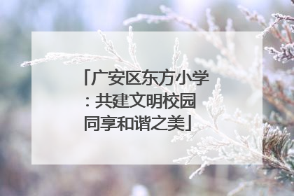 广安区东方小学：共建文明校园 同享和谐之美