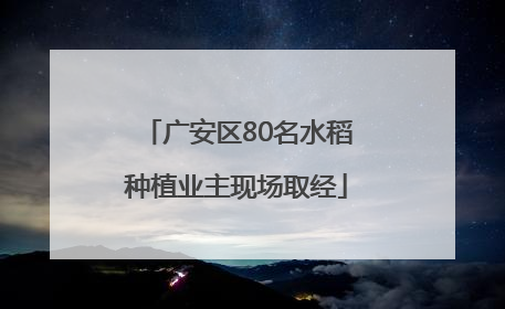 广安区80名水稻种植业主现场取经