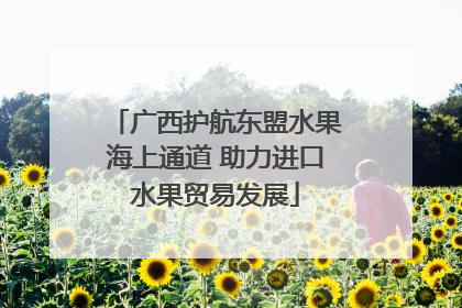 广西护航东盟水果海上通道 助力进口水果贸易发展