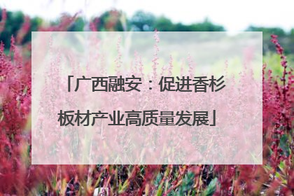 广西融安：促进香杉板材产业高质量发展