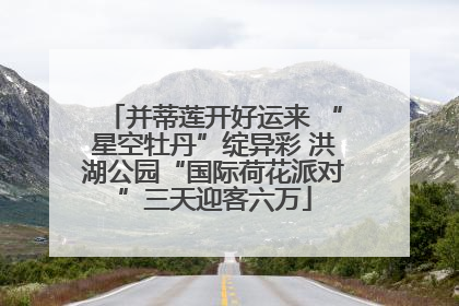 并蒂莲开好运来 “星空牡丹”绽异彩 洪湖公园“国际荷花派对”三天迎客六万