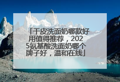 干皮洗面奶哪款好用值得推荐，2025氨基酸洗面奶哪个牌子好，温和在线