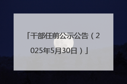 干部任前公示公告（2025年5月30日）