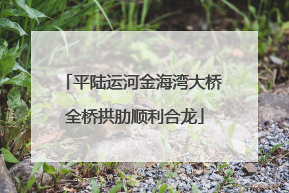 平陆运河金海湾大桥全桥拱肋顺利合龙