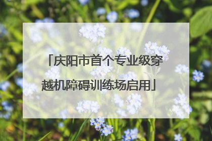 庆阳市首个专业级穿越机障碍训练场启用