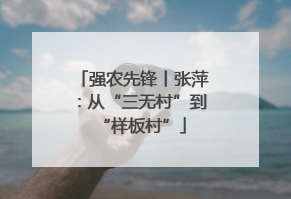 强农先锋丨张萍：从“三无村”到“样板村”