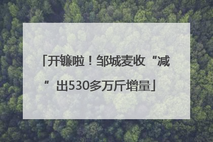 开镰啦！邹城麦收“减”出530多万斤增量