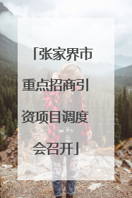 张家界市重点招商引资项目调度会召开