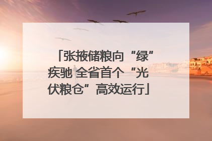 张掖储粮向“绿”疾驰 全省首个“光伏粮仓”高效运行
