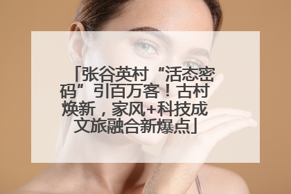 张谷英村“活态密码”引百万客！古村焕新，家风+科技成文旅融合新爆点