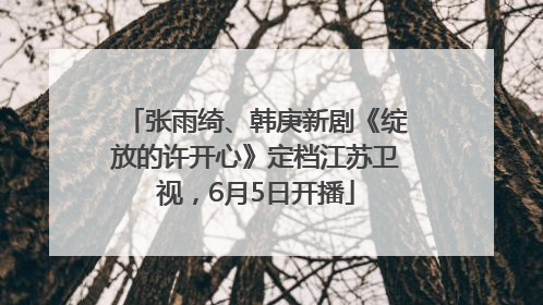 张雨绮、韩庚新剧《绽放的许开心》定档江苏卫视，6月5日开播