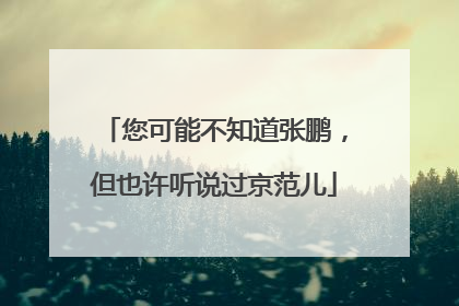 您可能不知道张鹏，但也许听说过京范儿