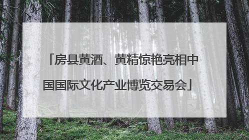 房县黄酒、黄精惊艳亮相中国国际文化产业博览交易会