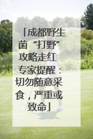 成都野生菌“打野”攻略走红 专家提醒：切勿随意采食，严重或致命