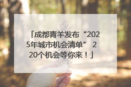 成都青羊发布“2025年城市机会清单” 220个机会等你来！