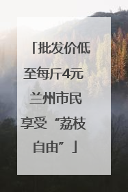 批发价低至每斤4元 兰州市民享受“荔枝自由”