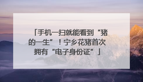 手机一扫就能看到“猪的一生”！宁乡花猪首次拥有“电子身份证”